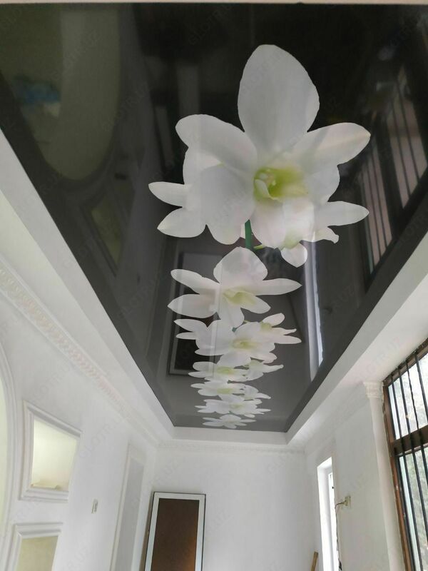 Ekologik hal qiluvchi bosma shiftlar (9-modda)