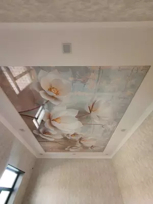 24-sonli cho'zilgan ship