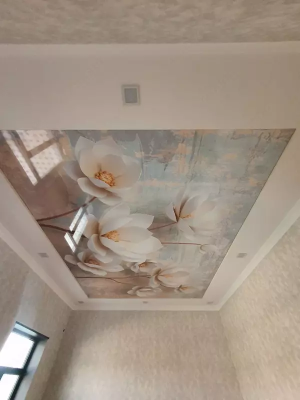 Натяжной потолок №24