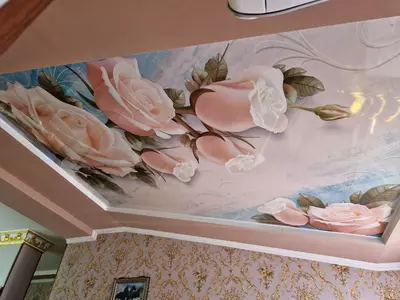 29-sonli cho'zilgan ship