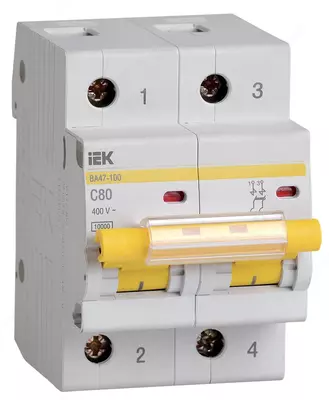 Elektron to'sar BA 47-100 2P 100A 10 ka x-ka C IEK
