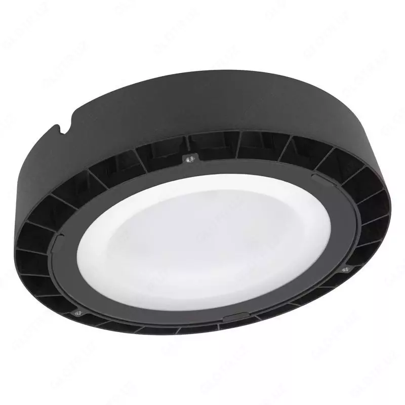 Светильник светодиодный PromLight ДСП8001 100W-IP65-6500K-BL 120 10000лм ELT