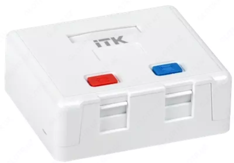 ITK Корпус внешней настенной розетки на 2 Keystone