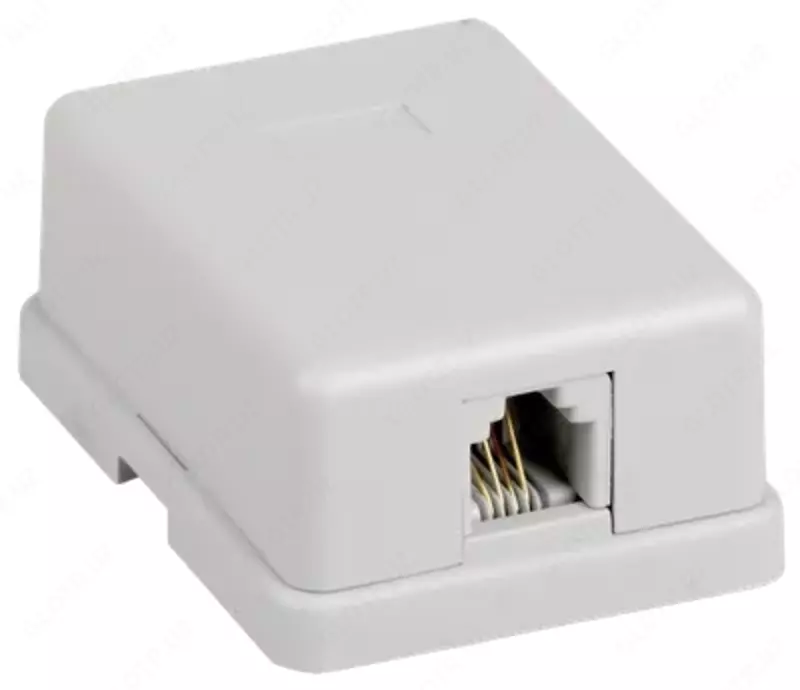 ITK devor rozetkasi RJ12 6p4c, kat.3, UTP, 1-port, oq