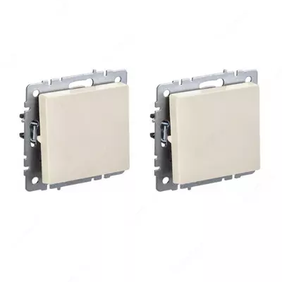 BRITE Выключатель 2-кл. 13А ВС10-2-0-БрС сталь IEK