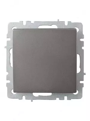 Выключатель BRITE 1-кл. самовозвратный 10А ВС10-1-4-БрС сталь IEK