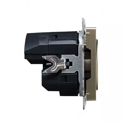 Розетка BRITE с з/к/ш 16А с USB A+C 18Вт РЮш11-1-БрШ шампань IEK