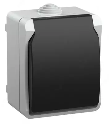 Розетка 1-местная РСб20-3-ФСр с заземлением, открытая установка 16А IP54 ФОРС (серый) IEK