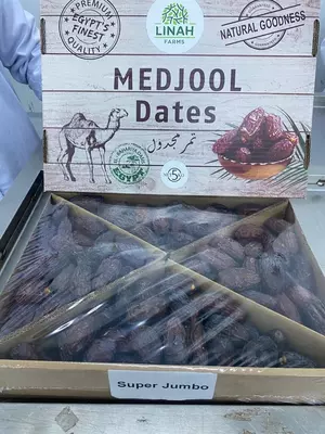 Финики королевские (МИСР) ХУРМО