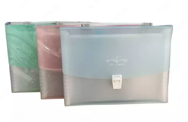 Папка-портфель прозрачный