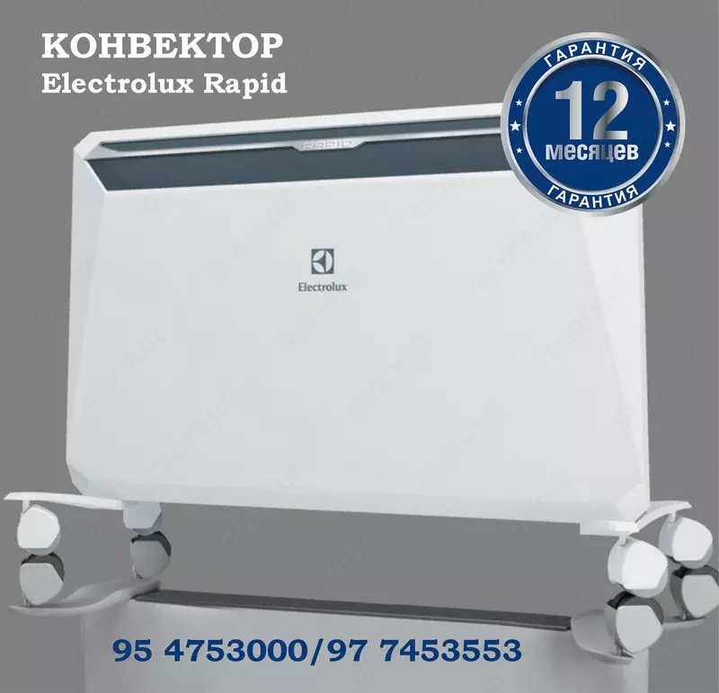 Конвекторные обогреватели Electrolux ECH/RI-2000 E (INVERTER)