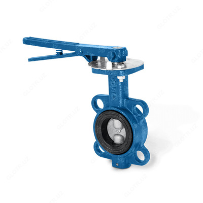 32ch1r D80mm quyma temir eshik (bosim 1.6MPa)