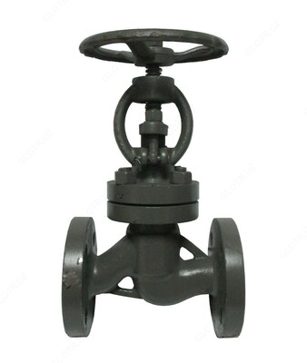 30ch6br D200mm quyma temir eshik valfi (bosim 1.6MPa)