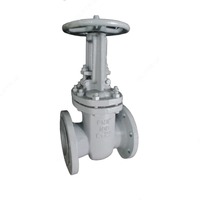 Задвижка стальная 30с41нж Д300мм (давление 1