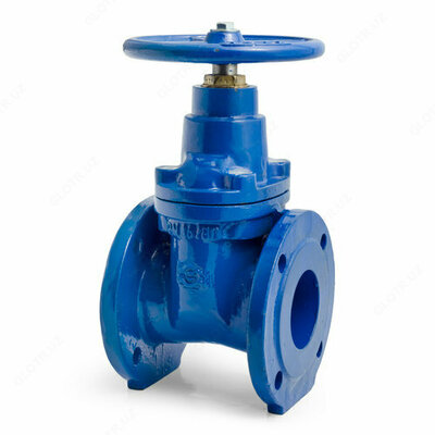 DN-80 reduktorli DIN standarti bo