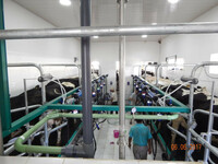 Доильные залы (Германия-Италия)