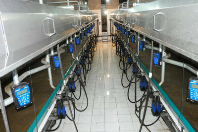 Доильные залы (Германия-Италия) Оптом и розница