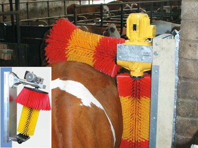 от 100 000 000 сум / комплект Животноводческий молочно-товарный комплексы