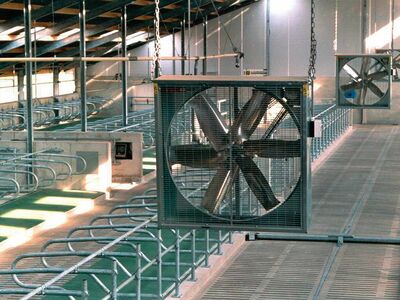 Животноводческий молочно-товарный комплексы Оптом и розница