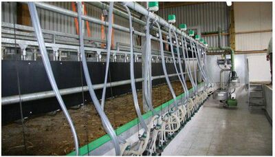 Доильные залы для коз (Германия) Оптом и розница