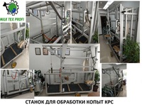 Станок для обработки копыт