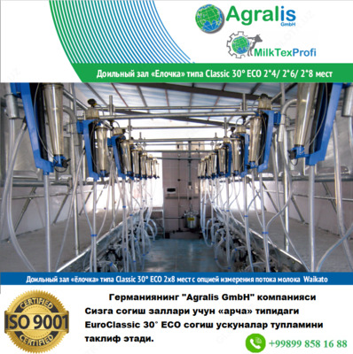 Доильный зал «Елочка» типа EuroClassic 30° ECO