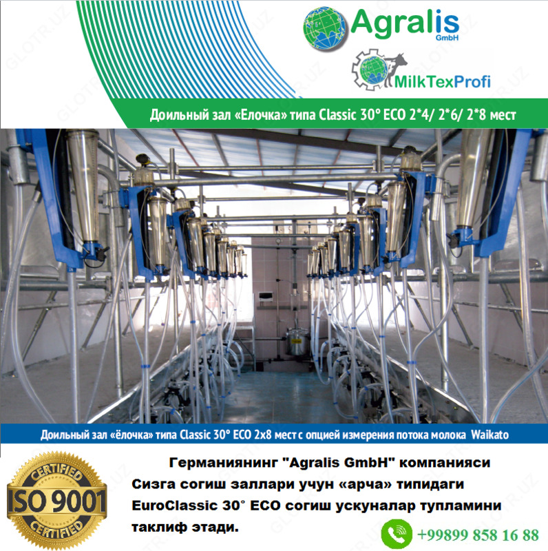 Доильный зал «Елочка» типа EuroClassic 30° ECO