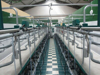 Доильный зал «Елочка» типа EuroClassic 30° ECO - 234 062 010 сум