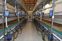 Доильный зал 100% Европа Б/У