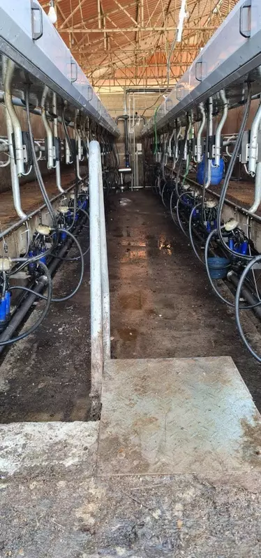 Доильный зал 100% Европа Б/У - 2 392 646 000 сум