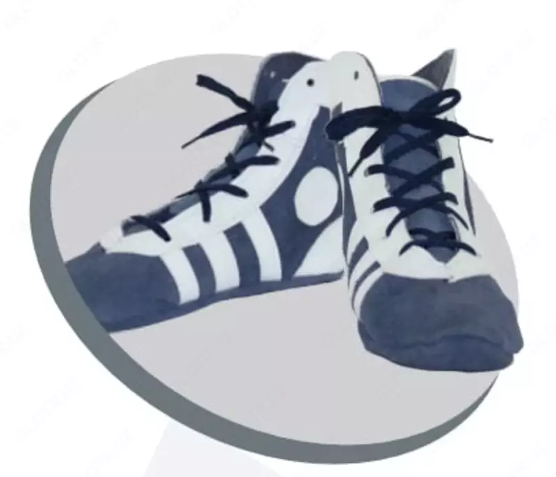 Спортивная обувь (боксерки)