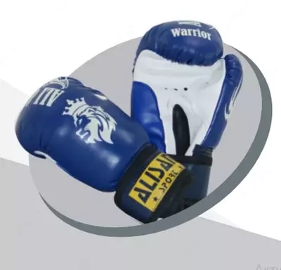 Боксерские защитные перчатки "ALISAN" (синие/белые)
