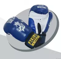 "ALISAN" boks himoya qo'lqoplari (ko'k/oq)