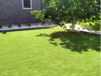 Obodonlashtirish - по запросу