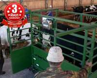 Весы для животных (для скота) - от {0} сум