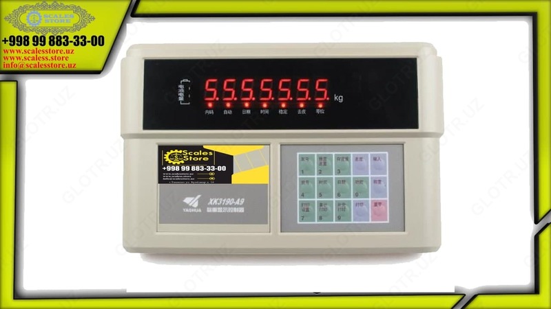 Весоизмерительные индикаторы "XK3190-A9+"