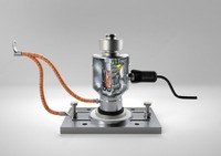 по запросу Ustun tenzodatchik "CAS WBK" (30 tonna)