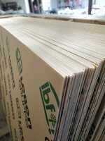 Shaffof pleksiglas | mat / oq 1220 x 2440 x 2