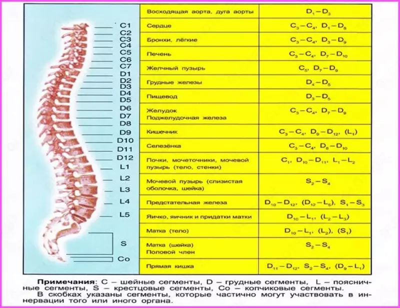 от 300 000 сум Мануальная терапия при лечении бесплодия