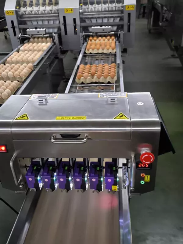 Маркиратор для яиц