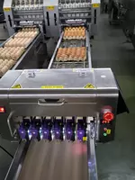 Маркиратор для яиц