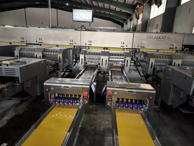 Маркиратор для яиц - 76 160 000 сум