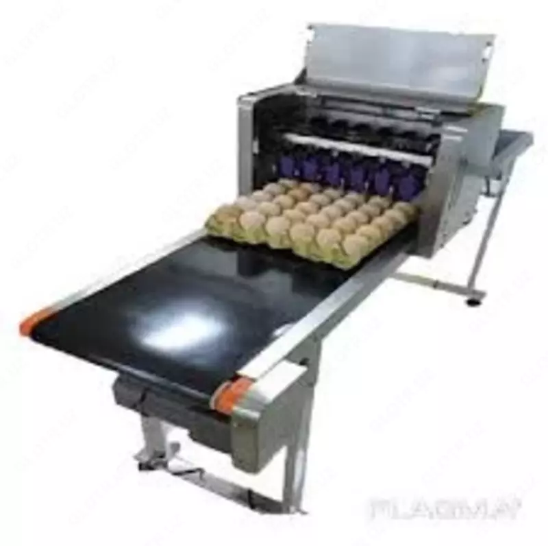 Маркиратор для яиц Только в розницу