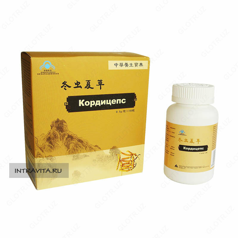 XITOY KORDISPSI: FOYDALANISh VA FOYDALI XUSUSIYATLARI