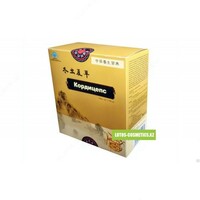 250 000 so'm XITOY KORDISPSI: FOYDALANISh VA FOYDALI XUSUSIYATLARI