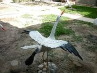  Скульптура Аиста - 