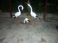   Скульптура Аиста