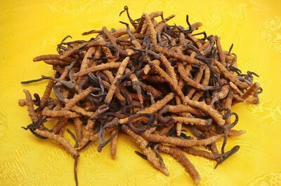 Капсулы Кордицепс (Green Health). 60 капсул. 