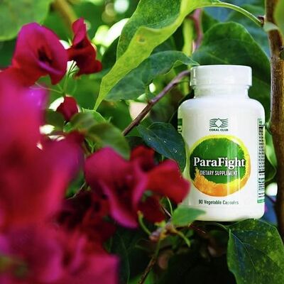 Пара Файт капсулы 90 шт