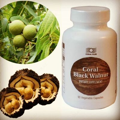 Корал Черный орех капсулы 90 шт